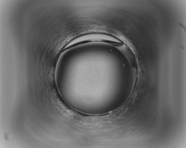 X0000099510009200805151511