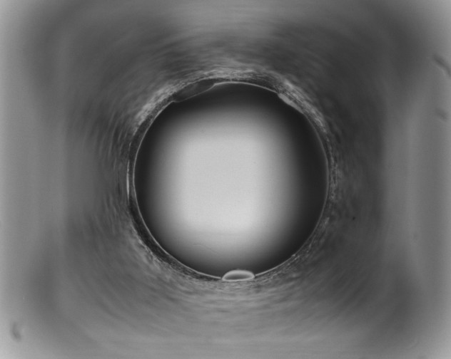 X0000099510011200805151511