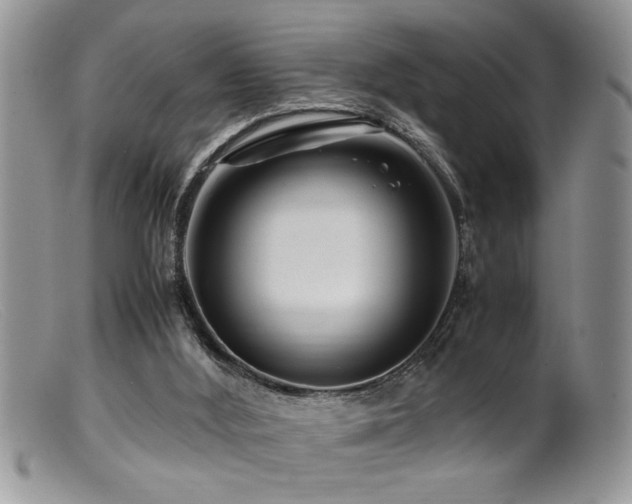 X0000099510012200805151511