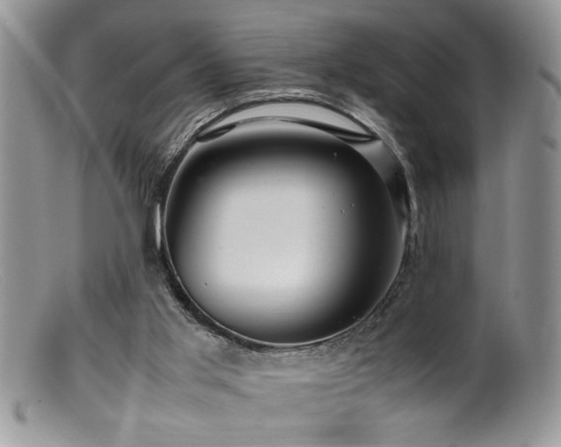 X0000099510013200805151511