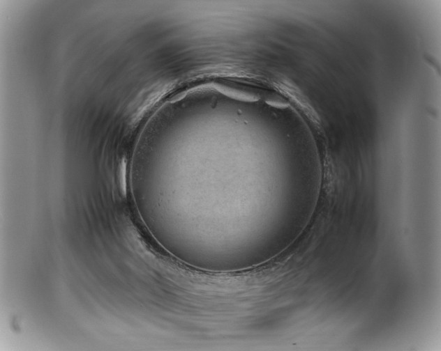 X0000099510014200805151511