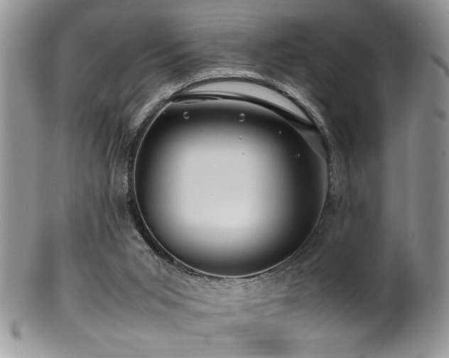 X0000099510015200805151511