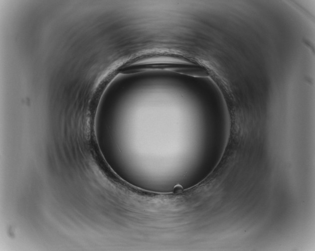 X0000099510016200805151511