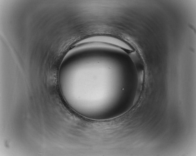 X0000099510017200805151511