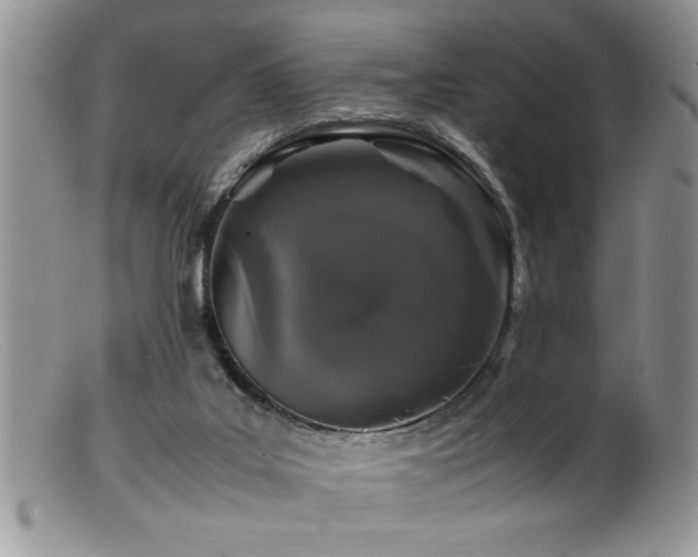 X0000099510019200805151511