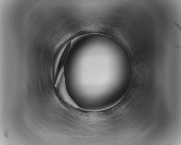 X0000099510020200805151511