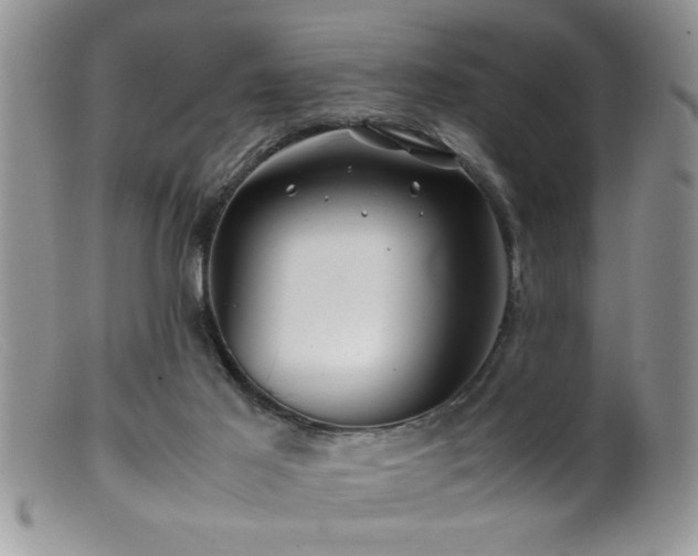 X0000099510021200805151511