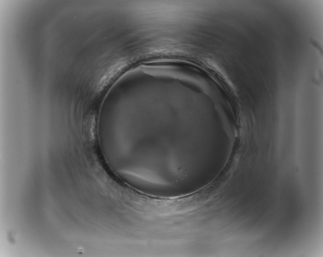 X0000099510023200805151511