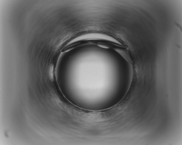 X0000099510024200805151511