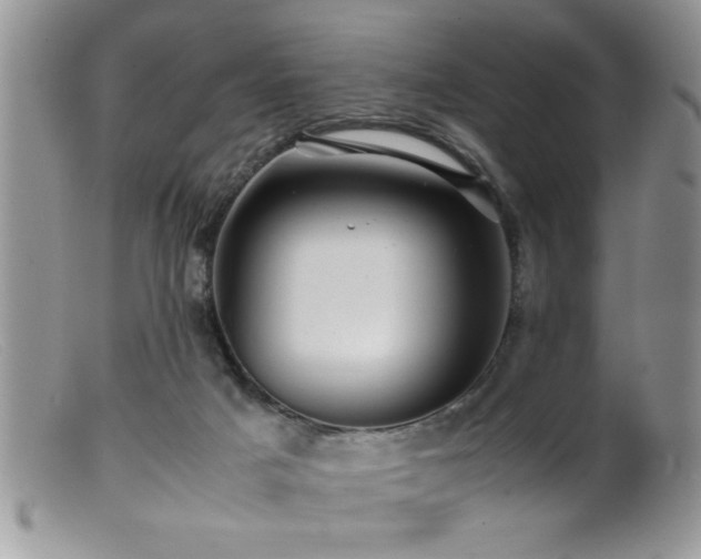 X0000099510025200805151511