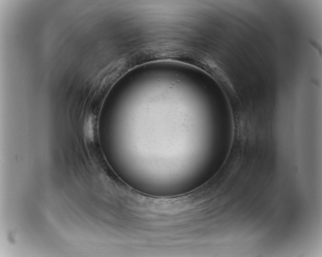 X0000099510026200805151511