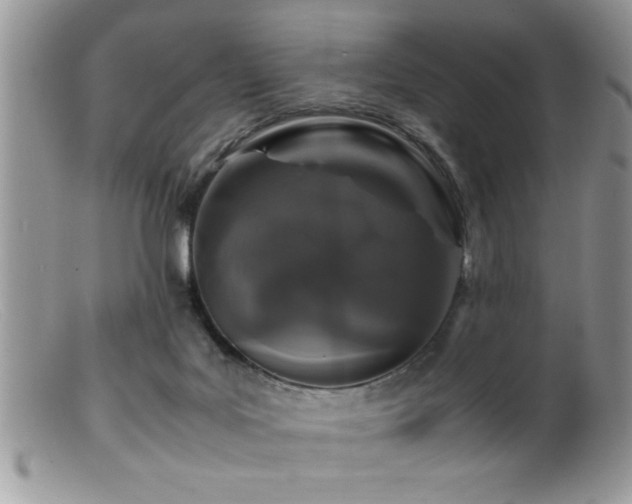 X0000099510027200805151511