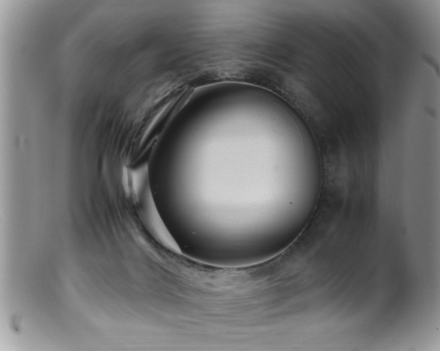 X0000099510028200805151511