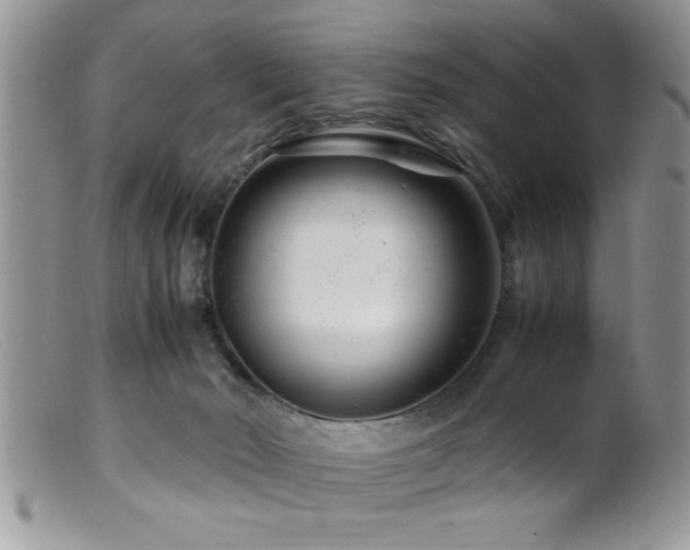 X0000099510030200805151511