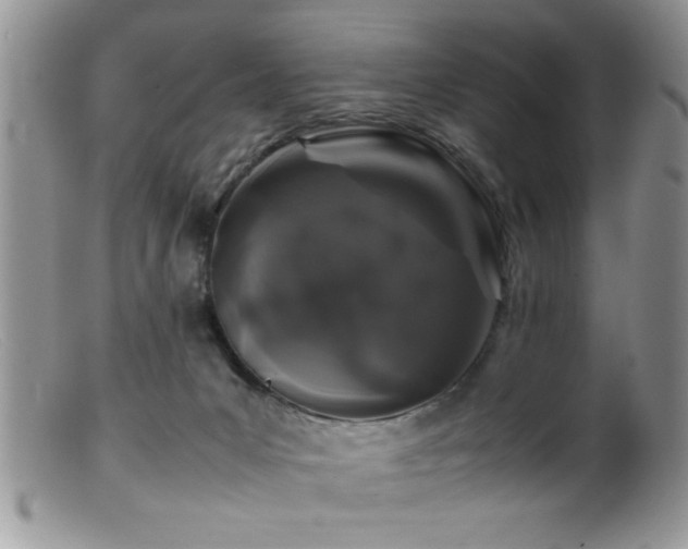 X0000099510031200805151511
