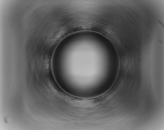 X0000099510032200805151511