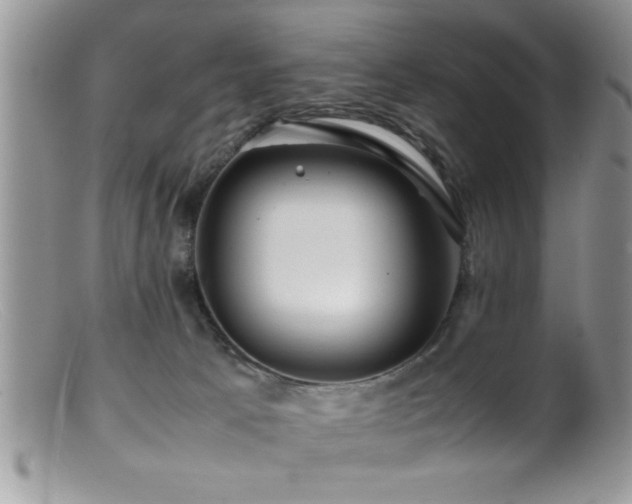X0000099510033200805151511