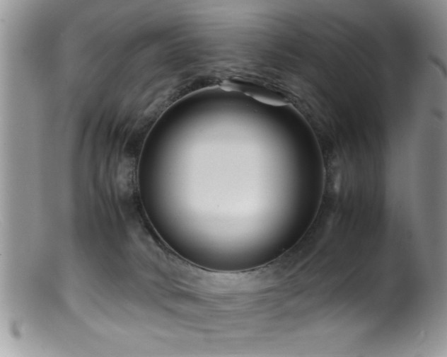 X0000099510034200805151511