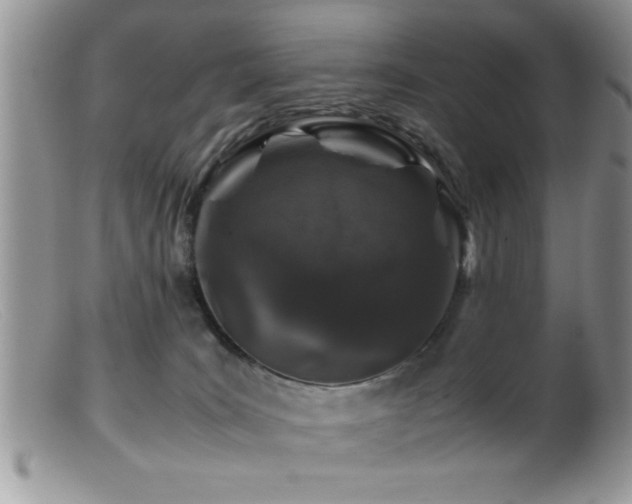 X0000099510035200805151511
