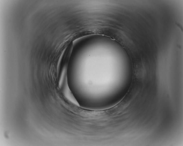 X0000099510036200805151511