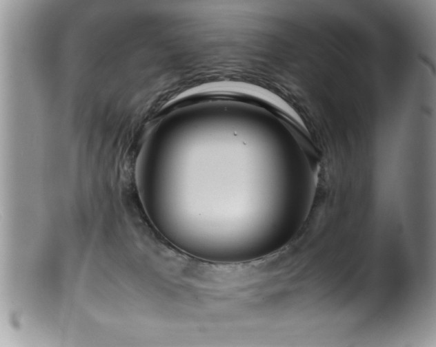 X0000099510037200805151511