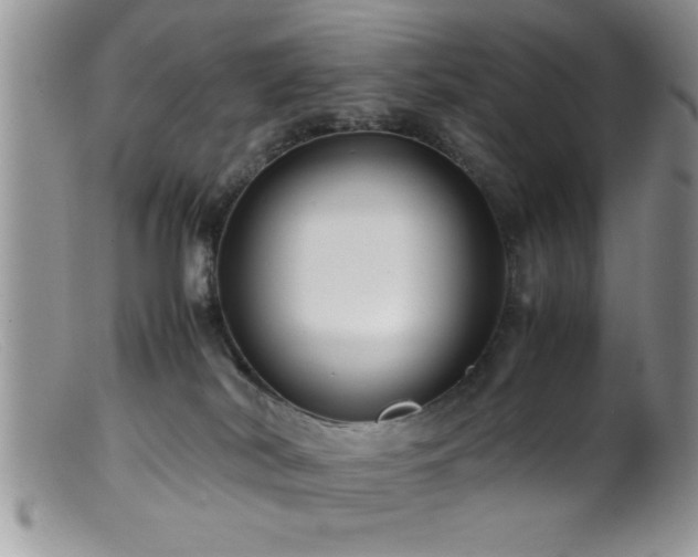X0000099510038200805151511