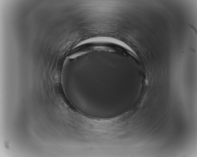 X0000099510039200805151511