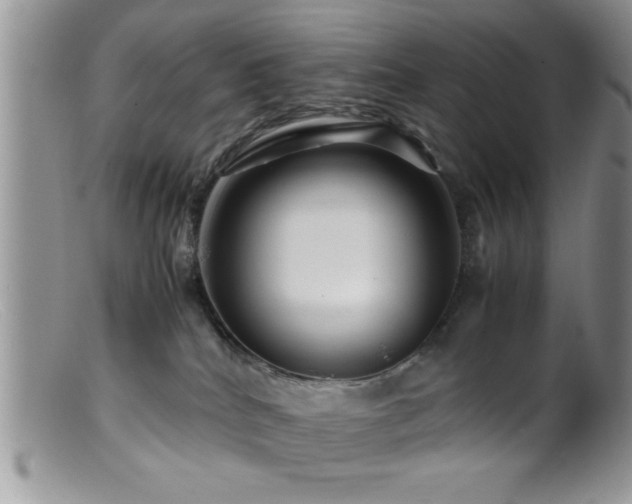 X0000099510040200805151511