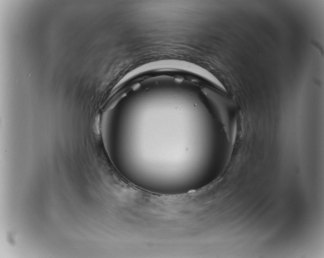 X0000099510041200805151511