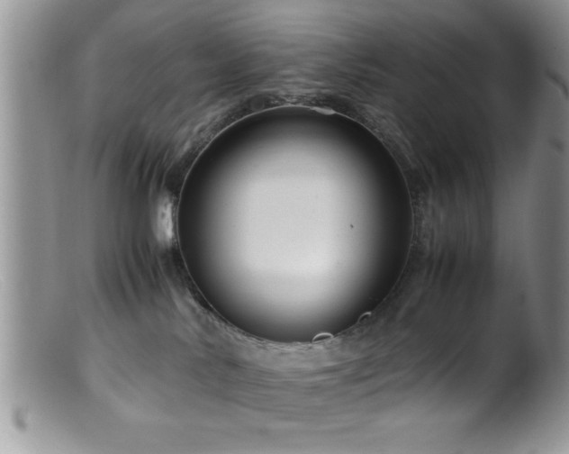 X0000099510042200805151511