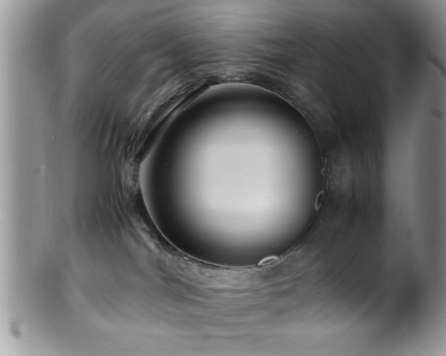 X0000099510044200805151511