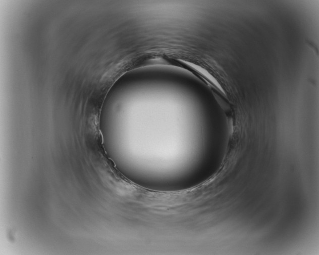 X0000099510045200805151511