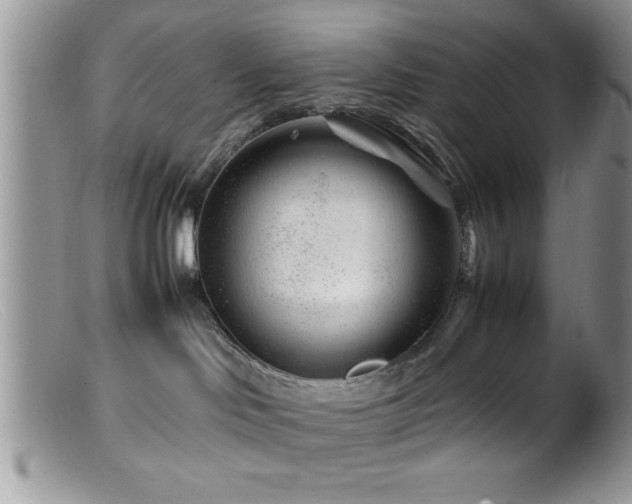 X0000099510046200805151510