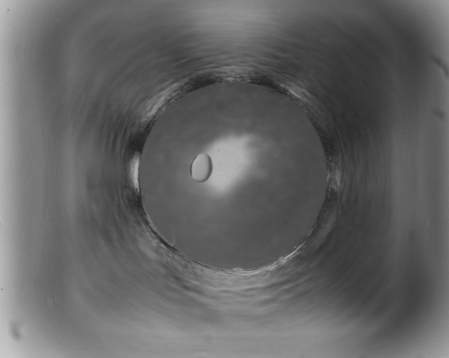 X0000099510047200805151510