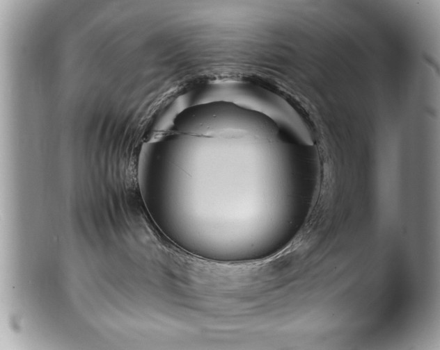 X0000099510048200805151510