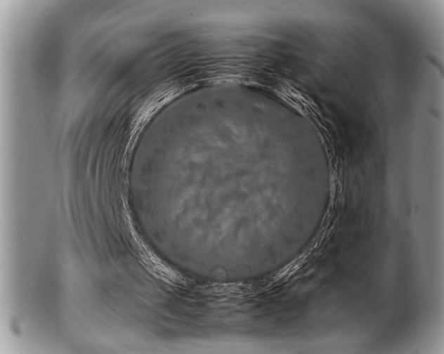 X0000099510049200805151510