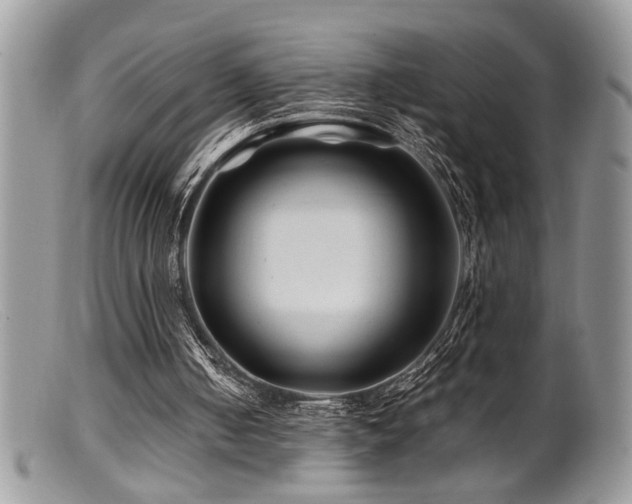 X0000099510050200805151510