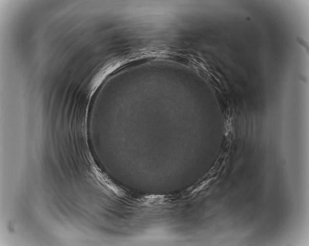 X0000099510052200805151510