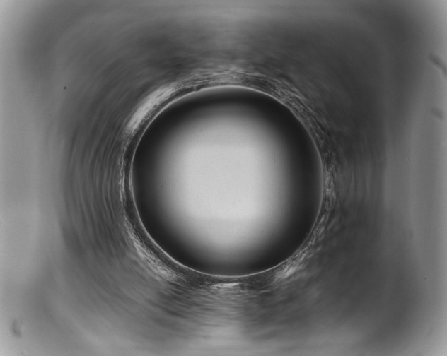 X0000099510054200805151510
