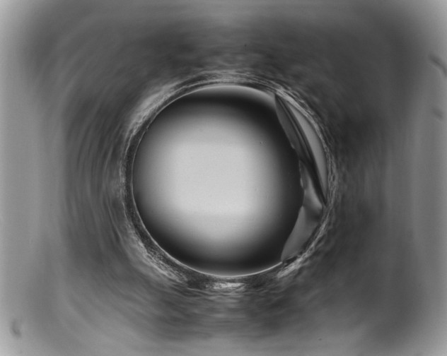 X0000099510055200805151510