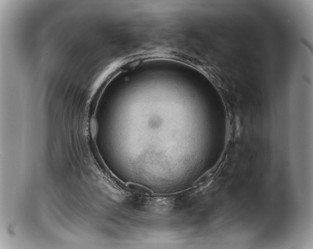 X0000099510056200805151510