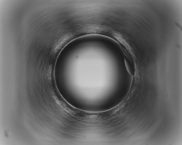 X0000099510058200805151510