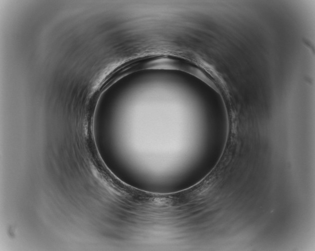 X0000099510060200805151510