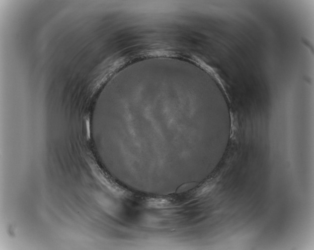 X0000099510061200805151510