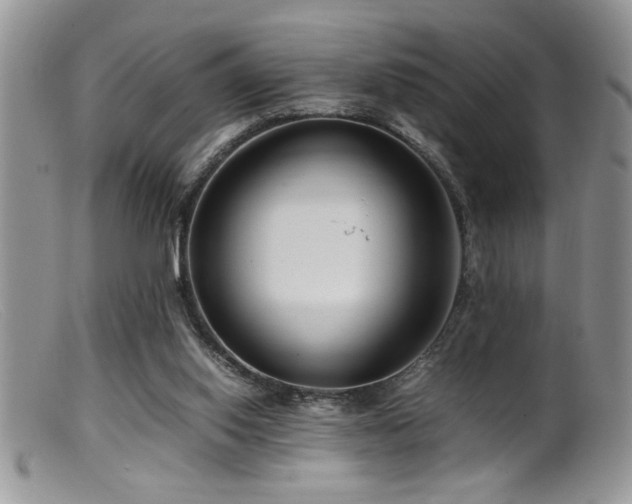 X0000099510062200805151510
