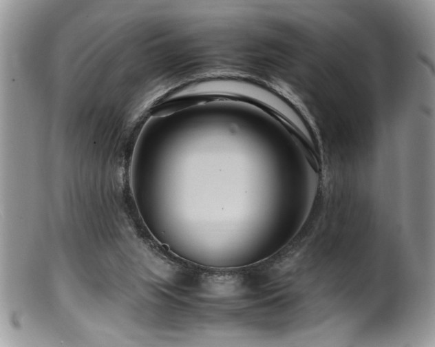 X0000099510063200805151510