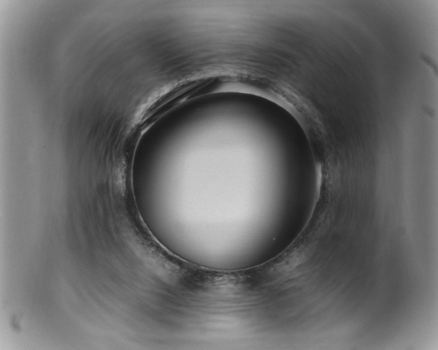X0000099510064200805151510