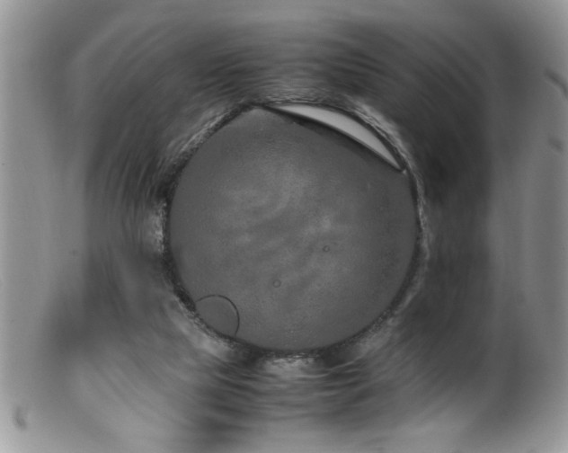 X0000099510065200805151510