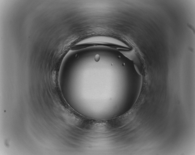 X0000099510066200805151510