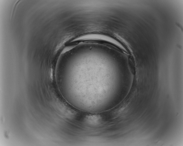 X0000099510067200805151510